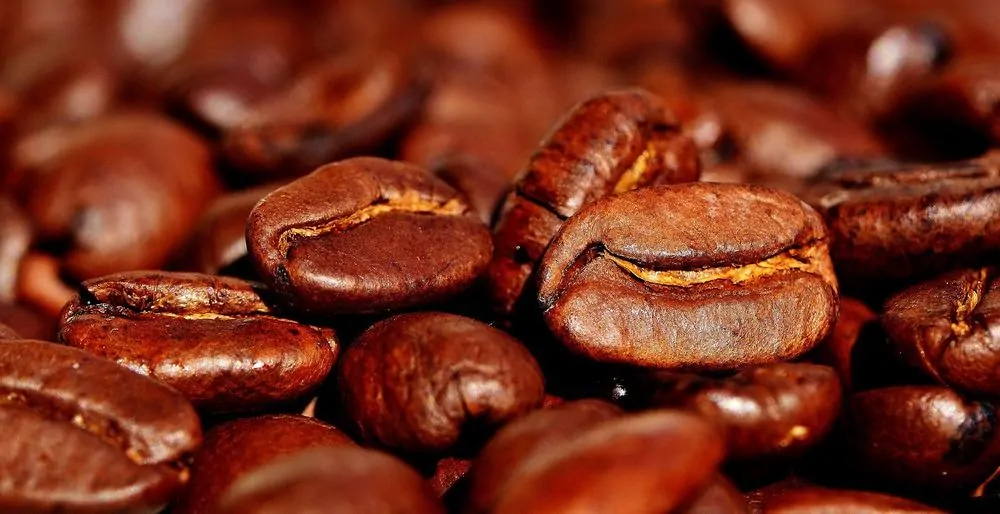 coffee beans cracked